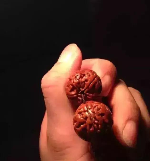 木质手串上的小虫子,手串里的小虫子