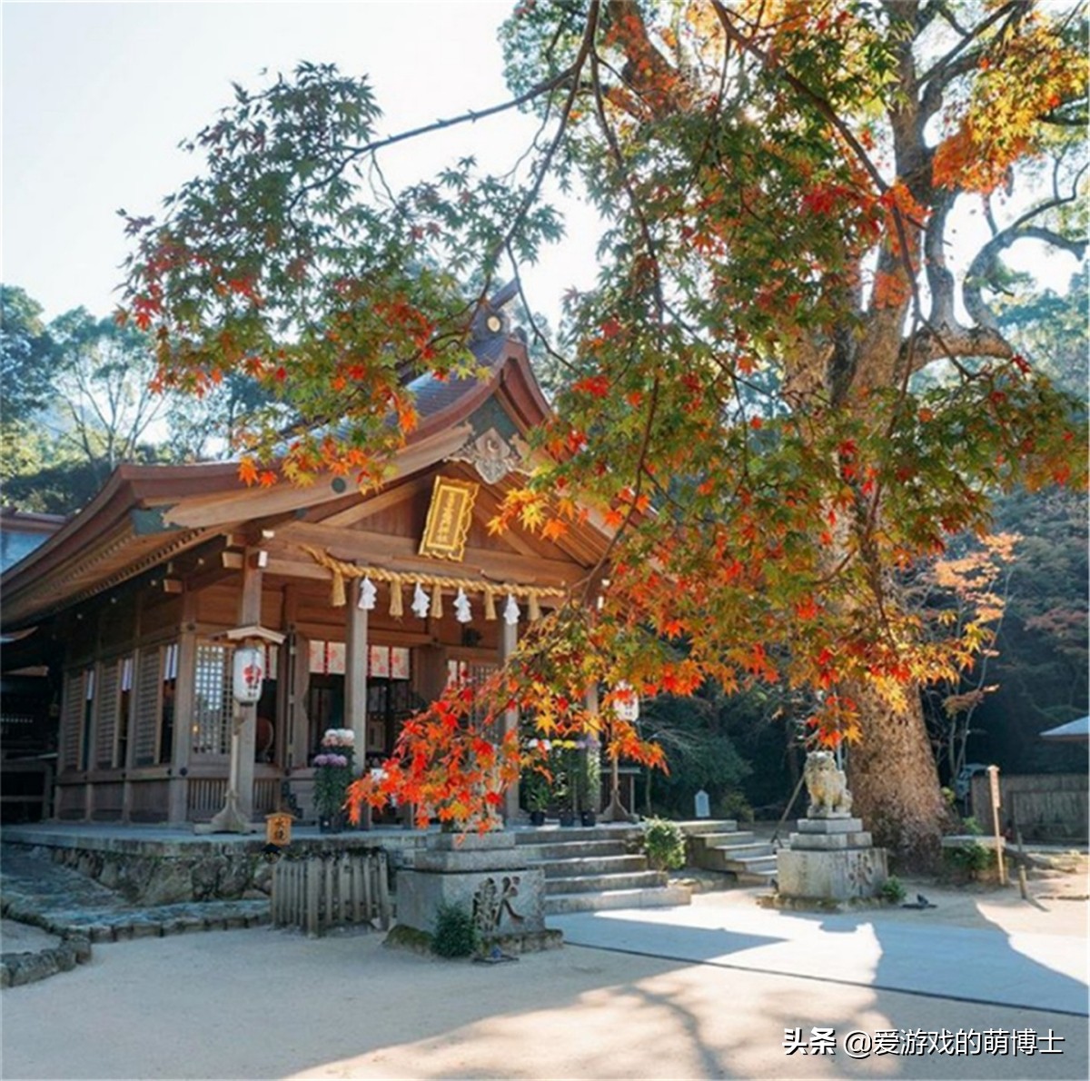 鬼灭之刃红围巾,鬼灭之刃炭治郎队服