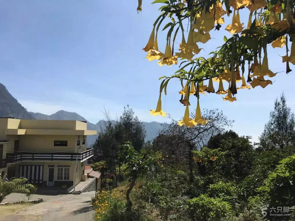 过年不知道去哪里玩的看过来,假期不知道去哪里玩的看过来