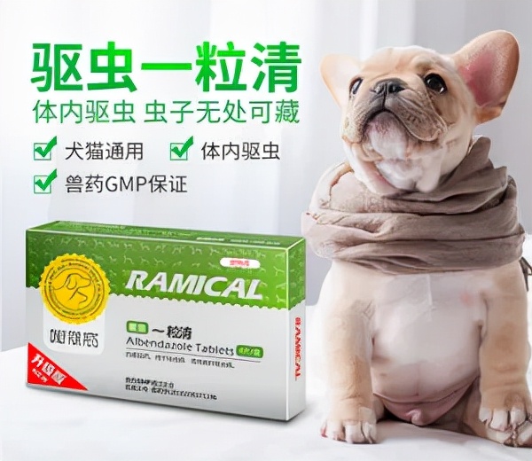 猫狗常用药品大全,猫狗必备药