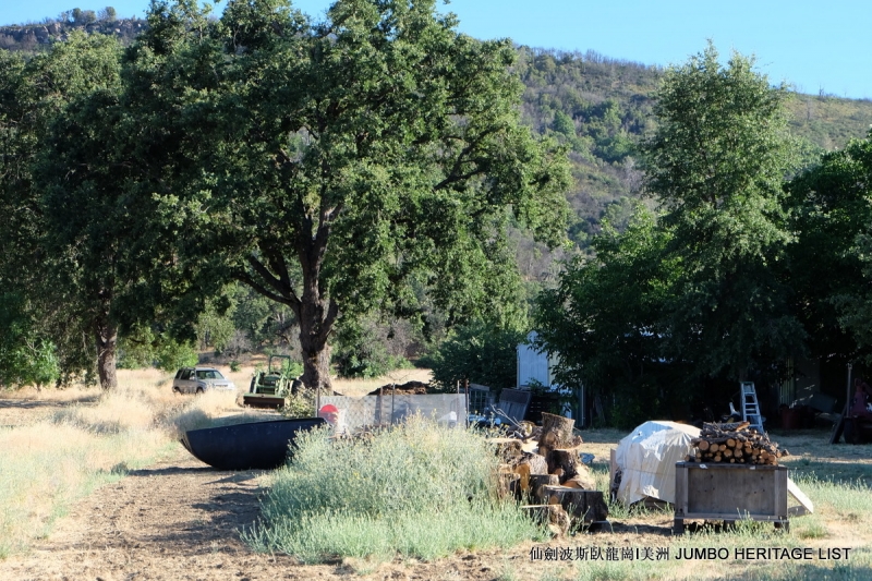 第3045回：人生一世草生一春，来如风雨去似微尘