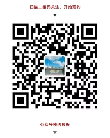 可以去玩的宠物乐园,1000平宠物乐园