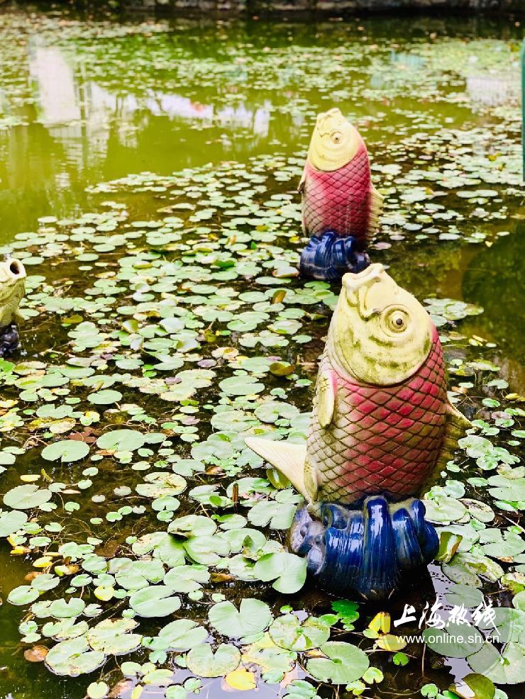 上海徐家汇公园特点,上海徐家汇公园看点