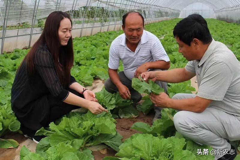 三四万元小型办厂项目农民想创业,4个最适合穷人的农村致富项目