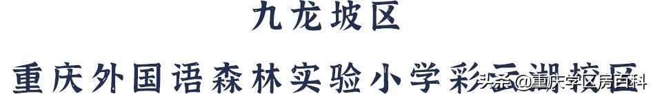 九龙坡区示范小学名单,九龙坡区新规划的小学