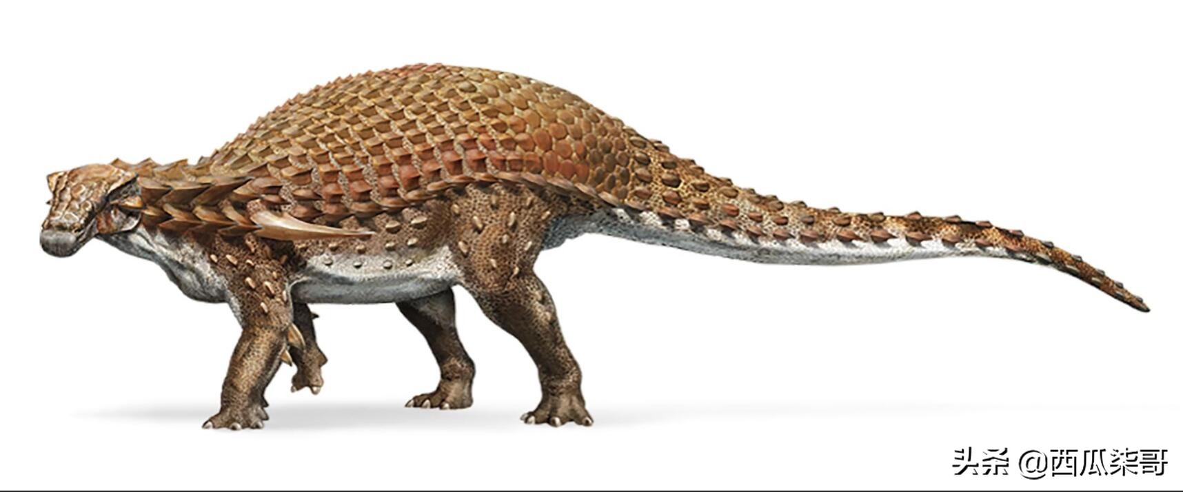 带您探索恐龙世界,探秘中国恐龙见证远古传奇