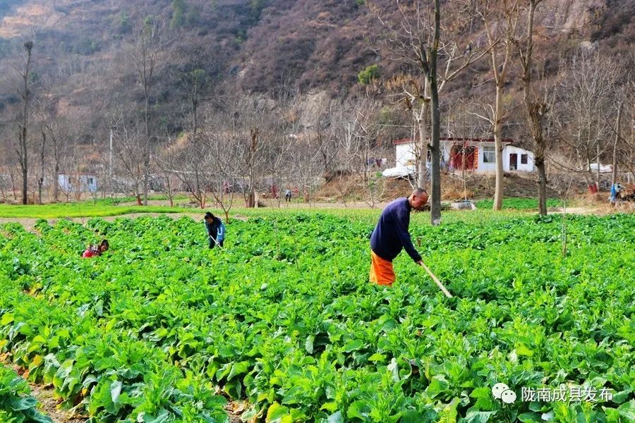 重逢——复苏的成州