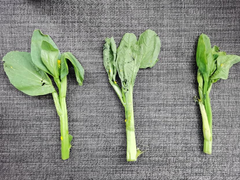 海尔冰箱473升净味,海尔595升变频风冷无霜冰箱