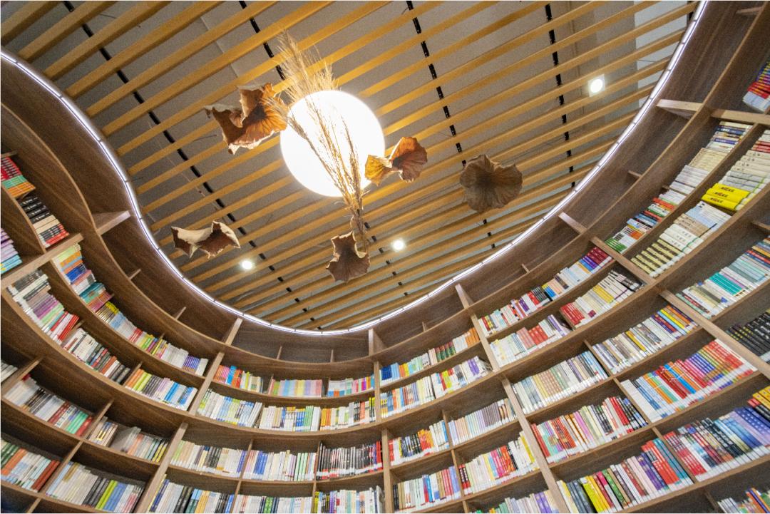 荷塘深处又添网红书院，深圳洪湖公园“荷·美空间”开门迎客