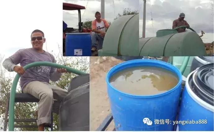 目前最好的高密度养虾技术,养鱼虾新技术