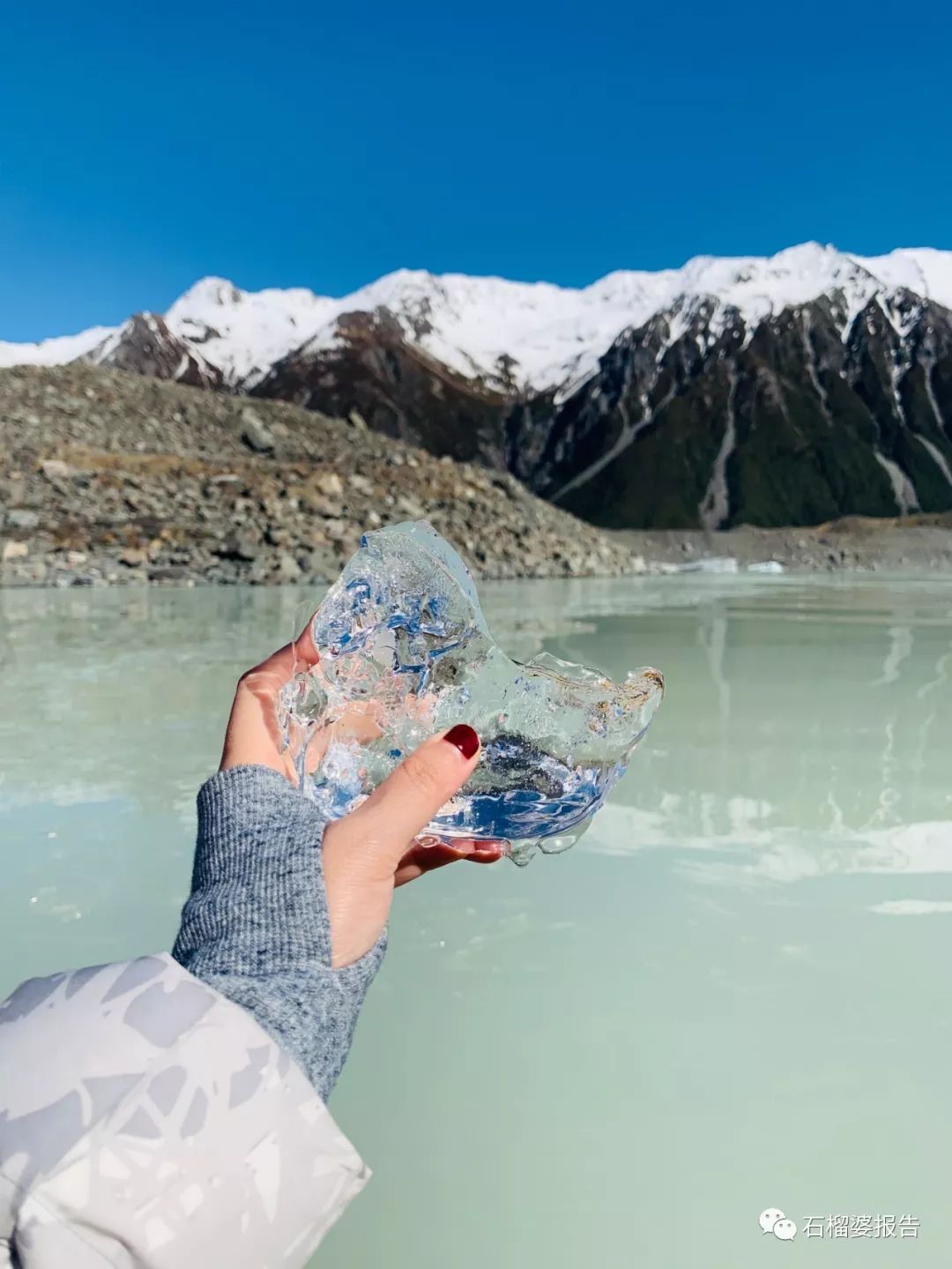 旅行7天,新西兰霍比特人村游记