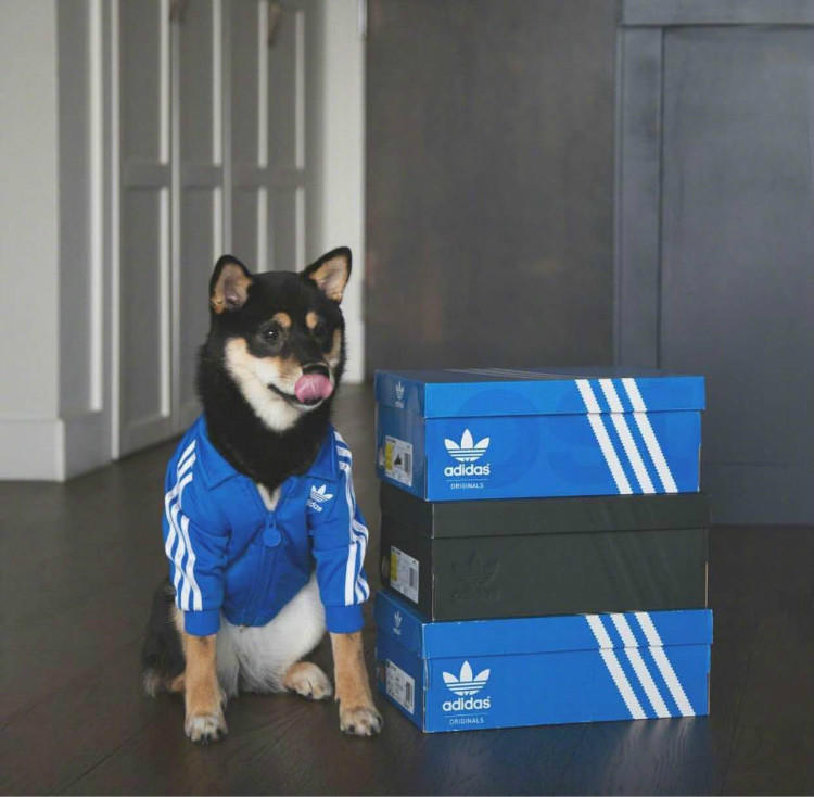 知识点！Sneakerhead必备常识你懂几个？