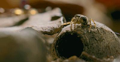 豆瓣9.6！娃刷到停不下来，还能看出人生大道理