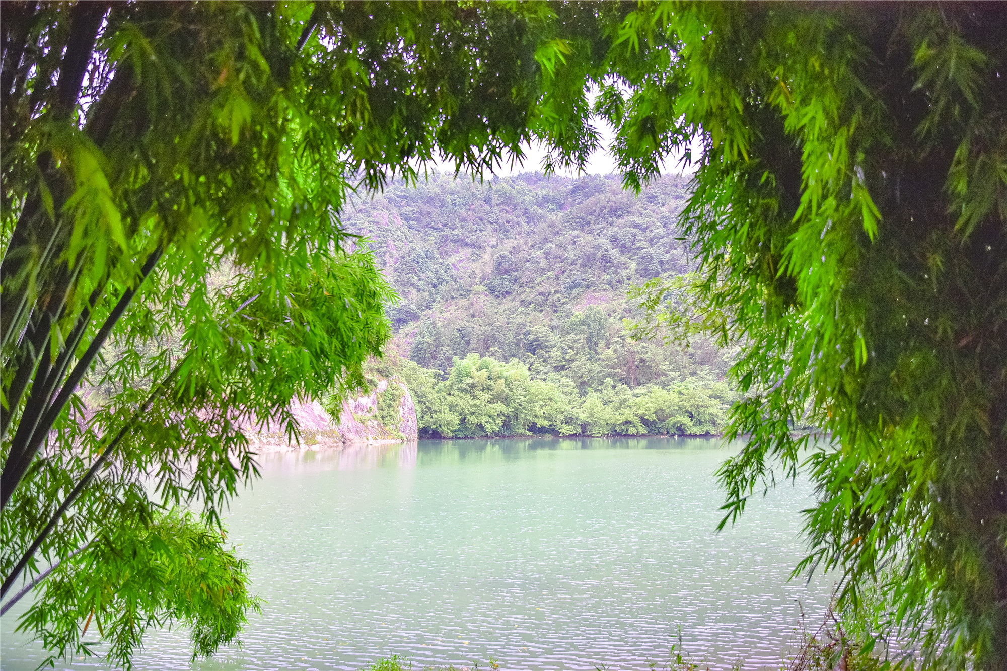 雁荡山永嘉书院,浙江永嘉书院介绍