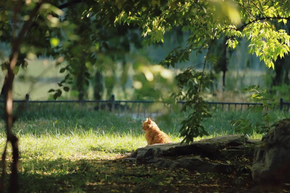 足球队员巡礼,北大男足足球队