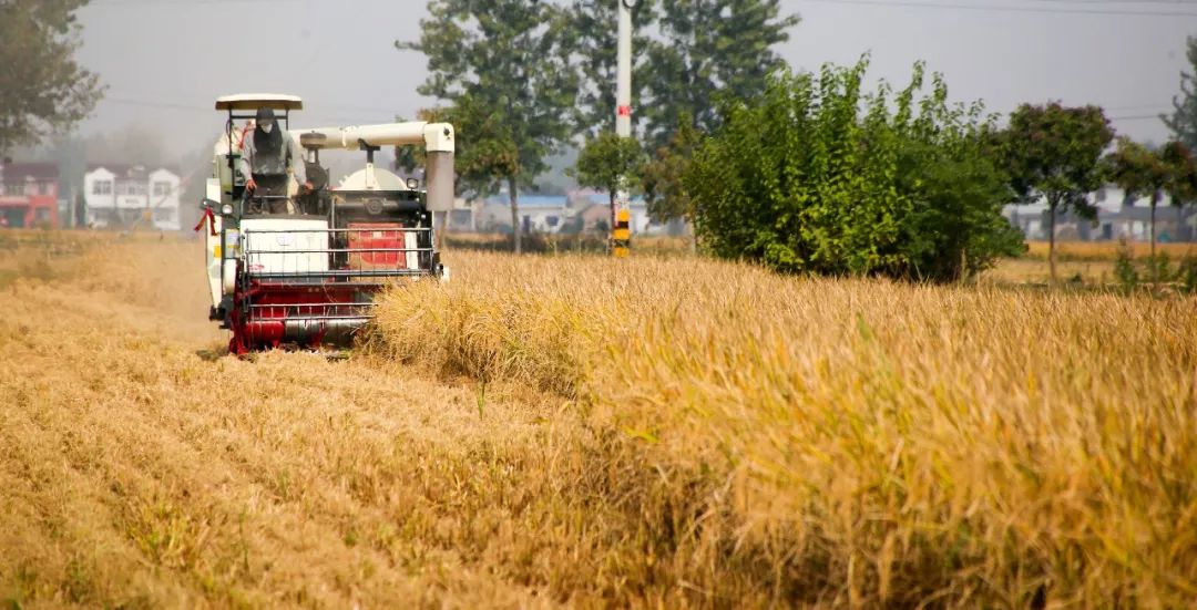 淮安前三季度经济数据,淮安区2019年国民经济统计公报