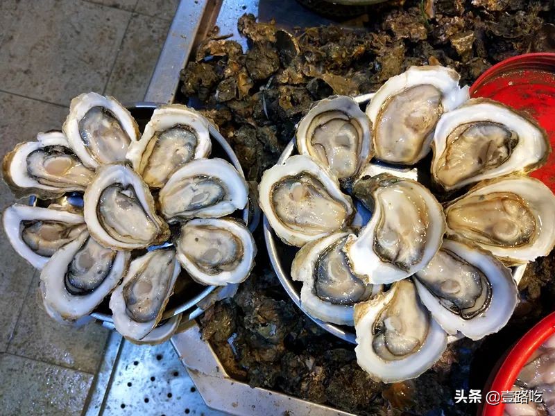 每天都有你想吃的海鲜美食,海鲜美食等你来品尝