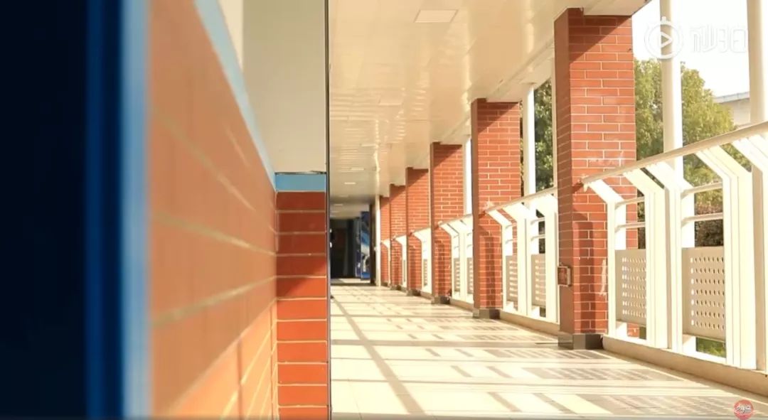 武汉32所重点小学大pk,武汉市十大美丽中学