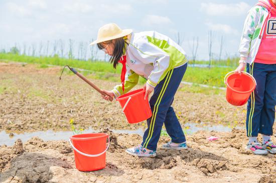 小学劳动实践研学活动总结,小学开展劳动教育研学实践活动