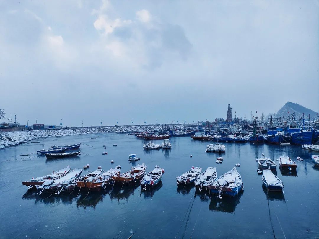 2022春节大连本命年免费景点,大连免费景点排行榜前十名