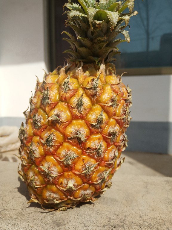 如何去掉菠萝的酸涩味,菠萝怎样去除涩味最有效