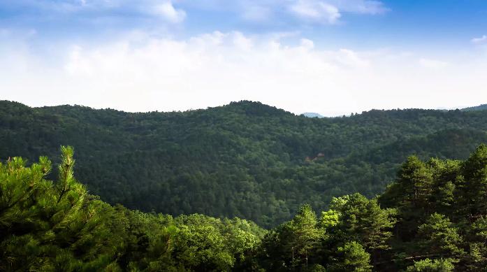 黄陵森林公园哪里好玩,黄陵国家森林公园游玩项目花费