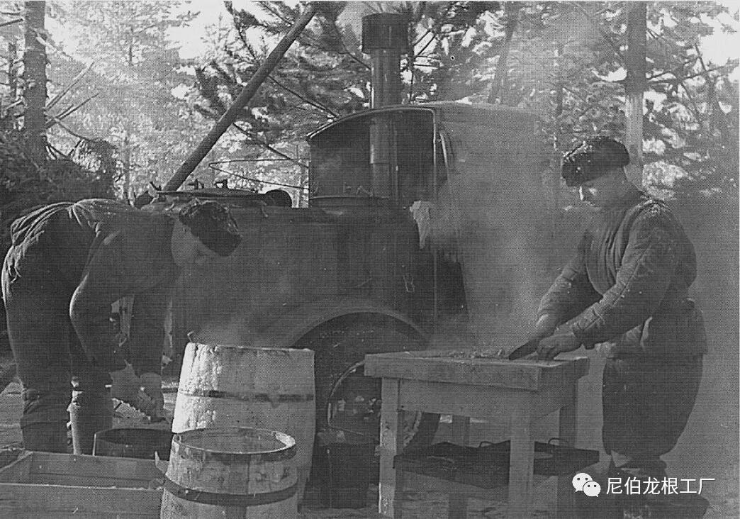灰色牲口投食器：苏俄牵引式*战野**厨房小史