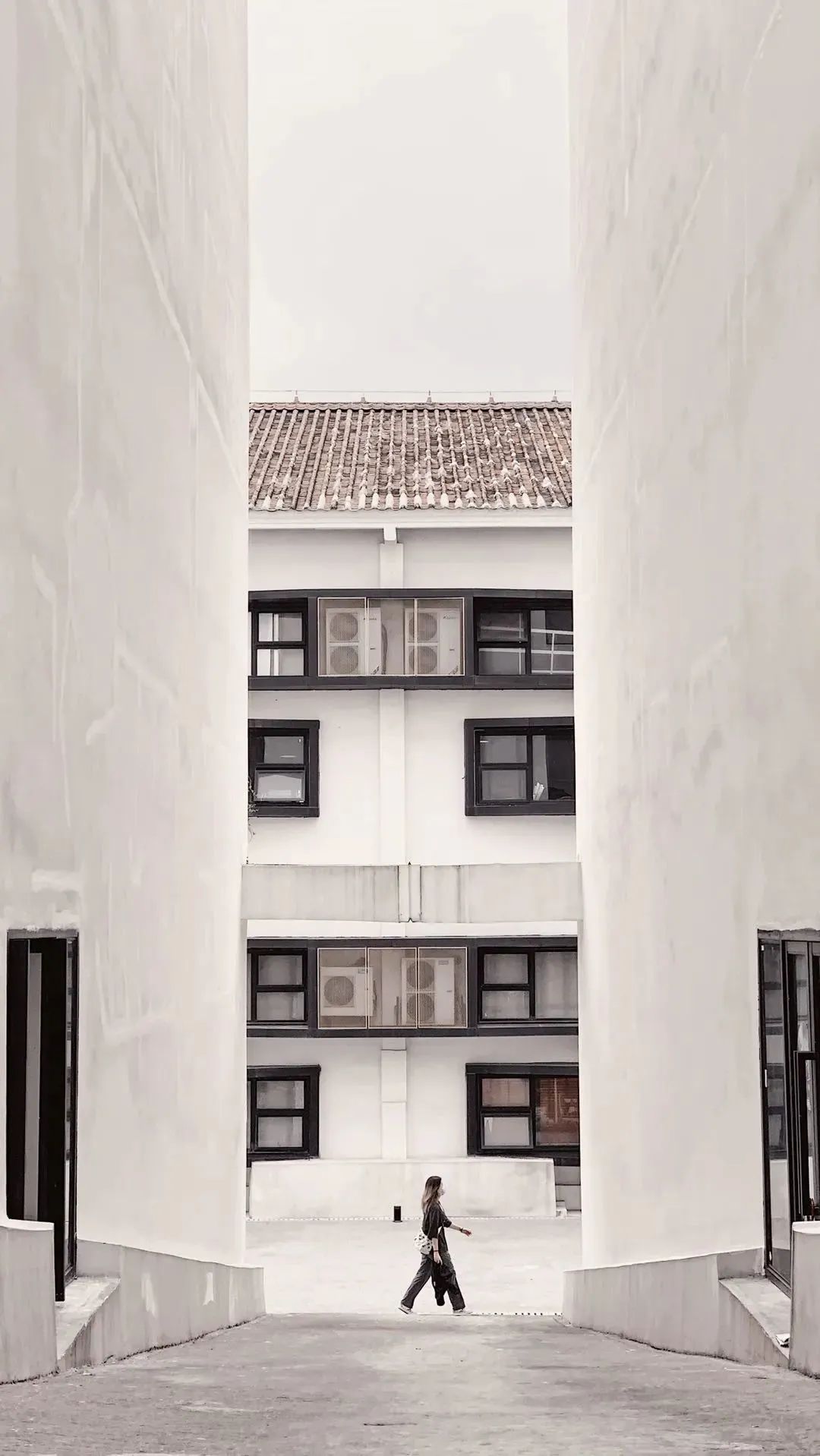 手机摄影拍摄最新热门作品,手机拍摄精彩作品