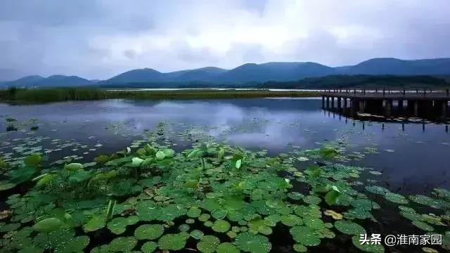 2022年安徽61个县经济排名,凤台县gdp安徽最高排第几