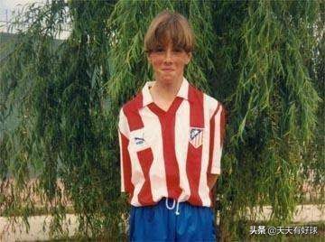 费尔南多托雷斯现状,费尔南多托雷斯生涯历程