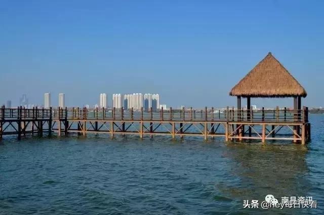 金三银四辞职信,金三银四辞职季