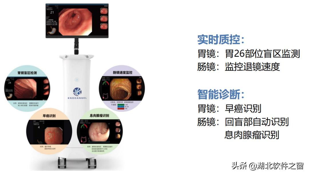 行业自律双软先行（十二）|楚精灵：打造世界级医疗AI服务商
