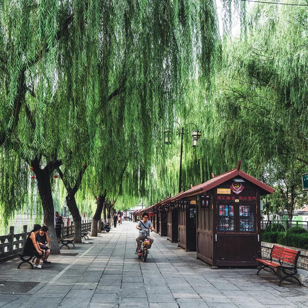 曲水亭街有一种江南的感觉,曲水亭街烟火气视频