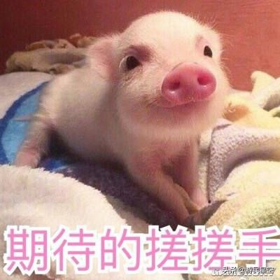 千人千面天涯明月刀手游,天涯明月刀手游评价