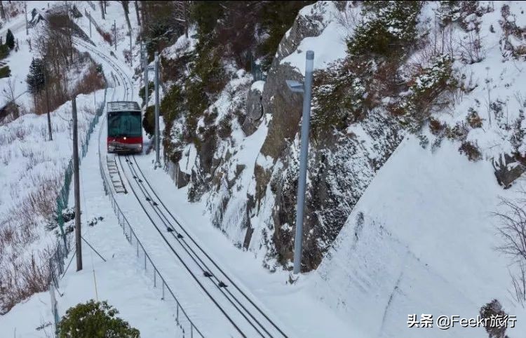 王珞丹35岁庆生照,王珞丹的生日是几月几号