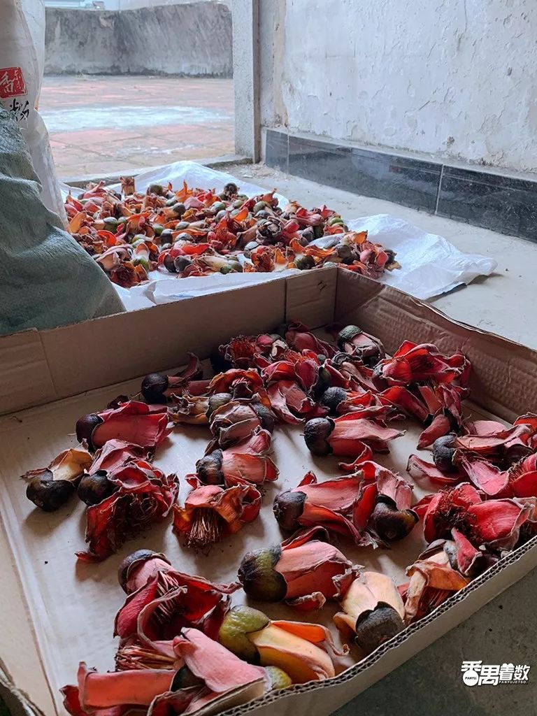 在番禺住哪里比较好,在番禺居住怎么样