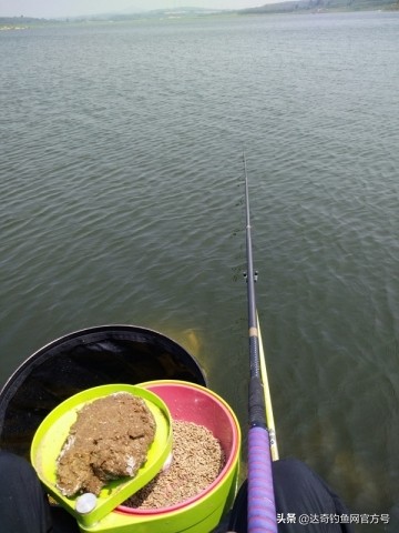 小杂鱼用什么饵料最好钓,钓小杂鱼用什么饵料最好