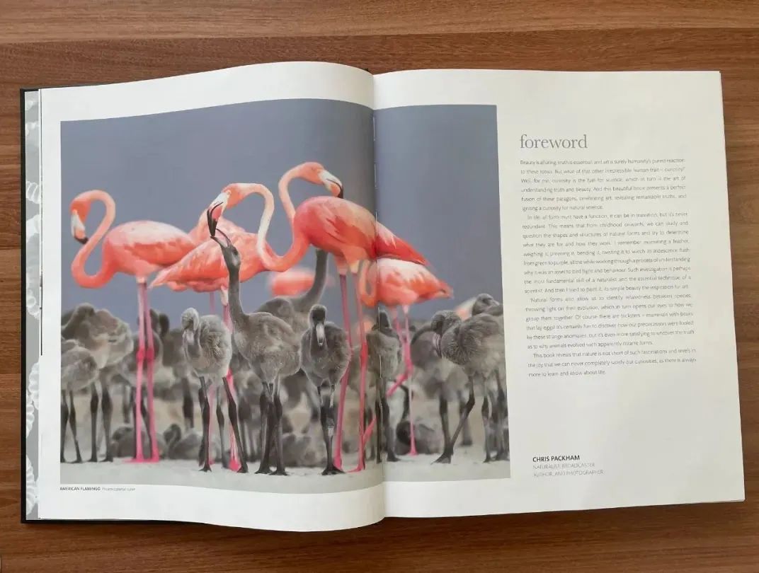 揭秘动物世界的“冷知识”,动物世界中的奇妙之处