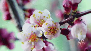 我国旅游日,中国旅游日5.19意义