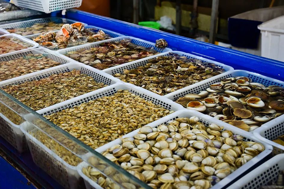 逛逛早市感受一下人间烟火的味道,最值得逛的早市