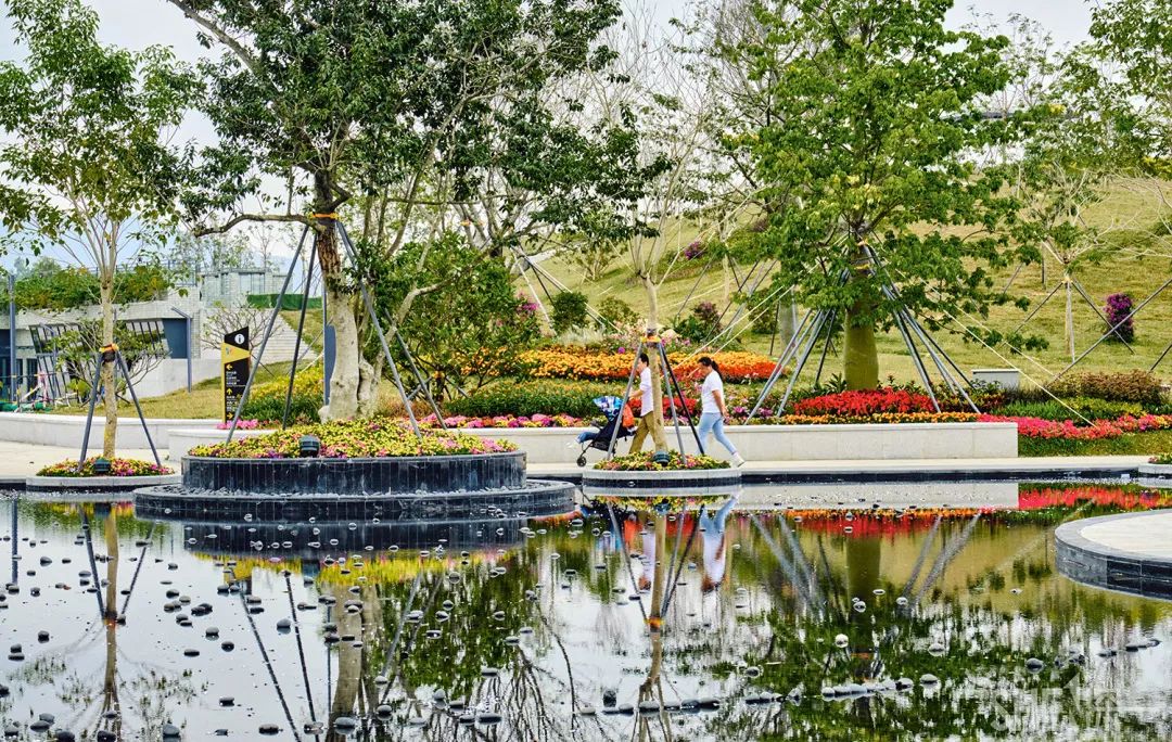 深圳龙华公园推荐,深圳龙华免费公园