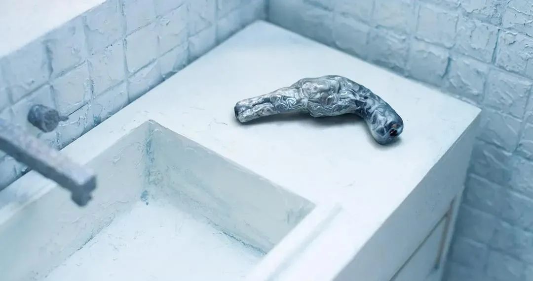 奥斯卡最佳动画短片治愈系,奥斯卡动画短片感人励志