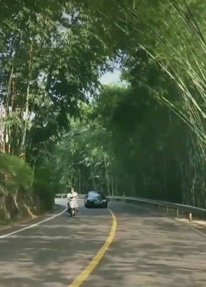 宜宾市长宁蜀南竹海,我的中国行