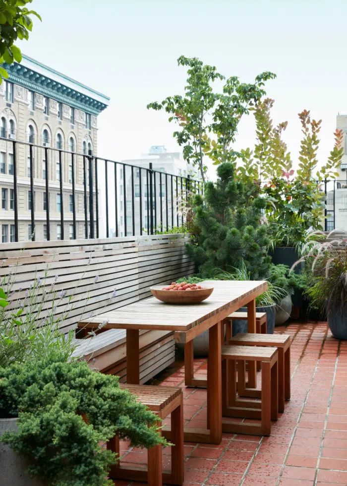 简单实用的家庭花园,20平方小花园