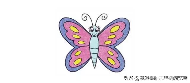 可爱的小昆虫简笔画,我认识的昆虫简笔画