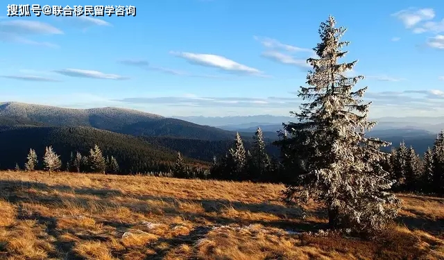 波兰工签近期通过率,波兰工签工作