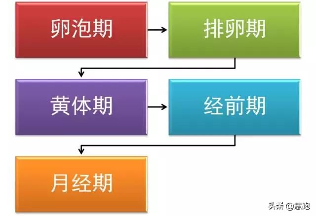 生理期可以跑步吗要怎么减肥,女生生理期跑步了怎么缓解
