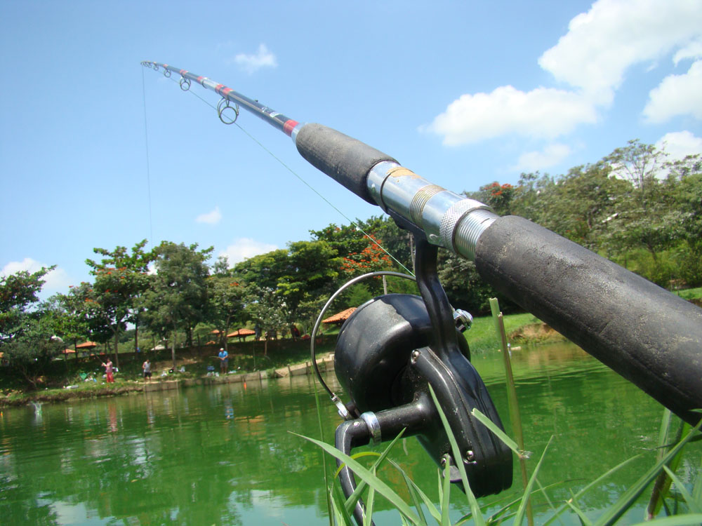 钓鱼人不得不看的文章，你是这样的人吗？