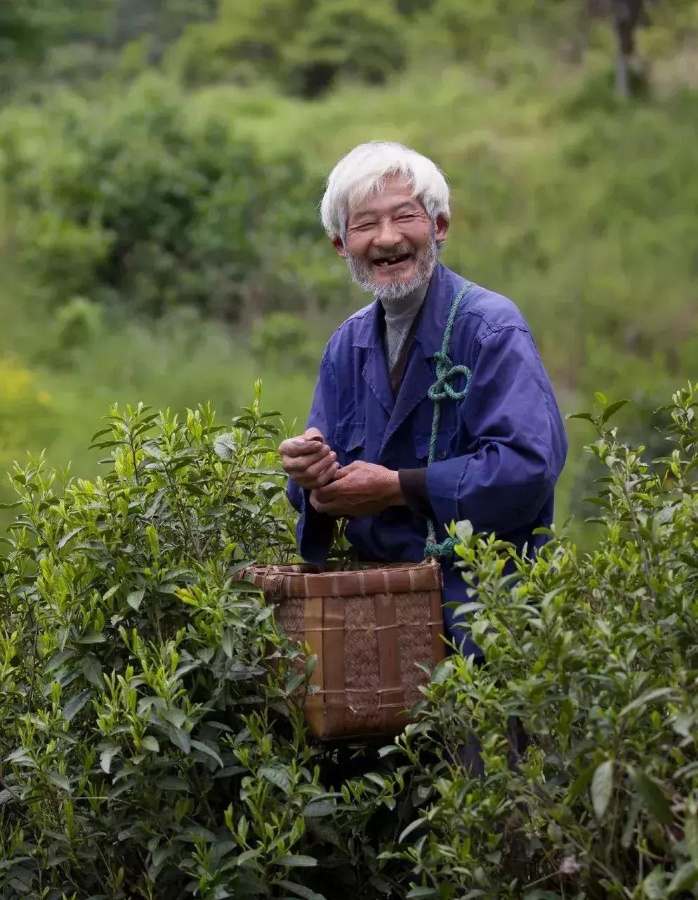 一个徽州惊艳全世界,徽州凭什么惊艳世界