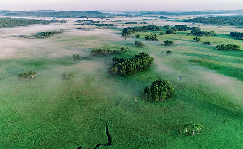 林草知识普及,林草科普讲解